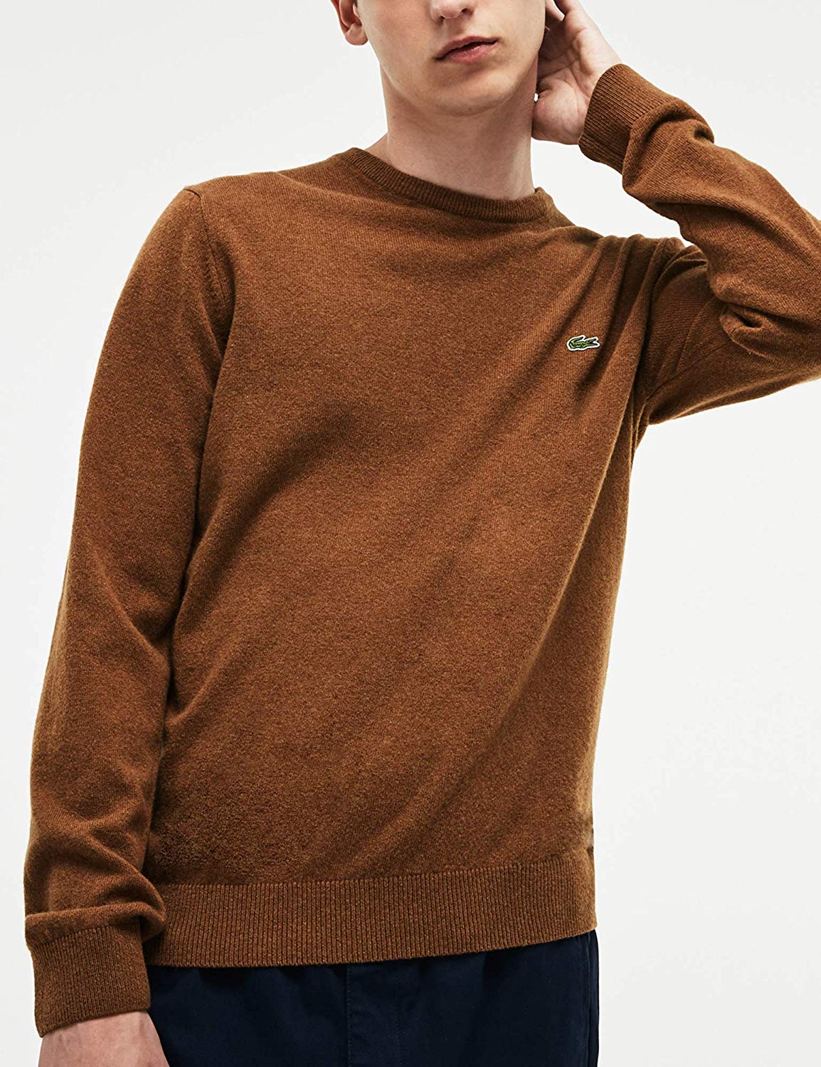 Lacoste Men's Jumper Lacoste Men's Jumper