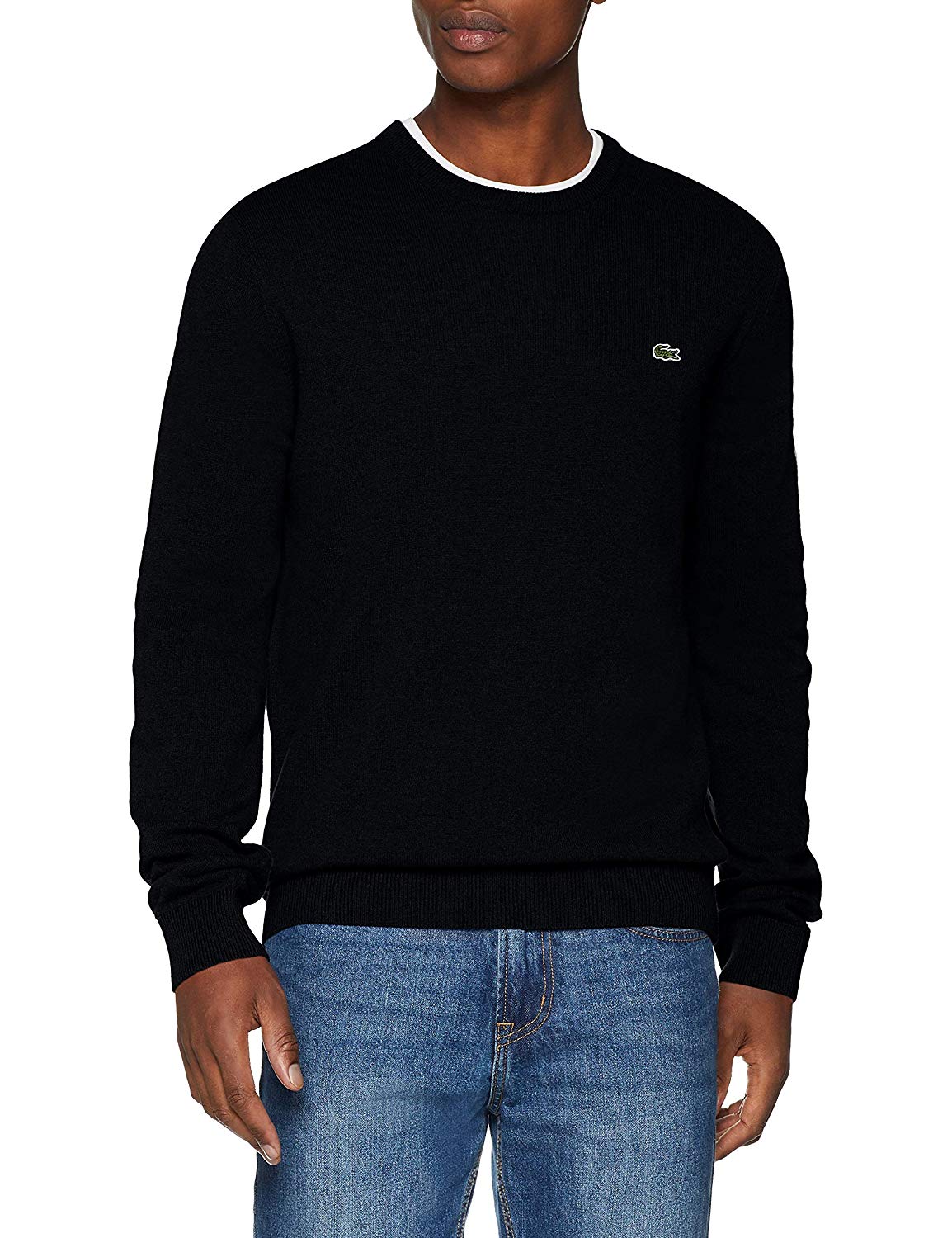 Lacoste Men's Jumper Lacoste Men's Jumper