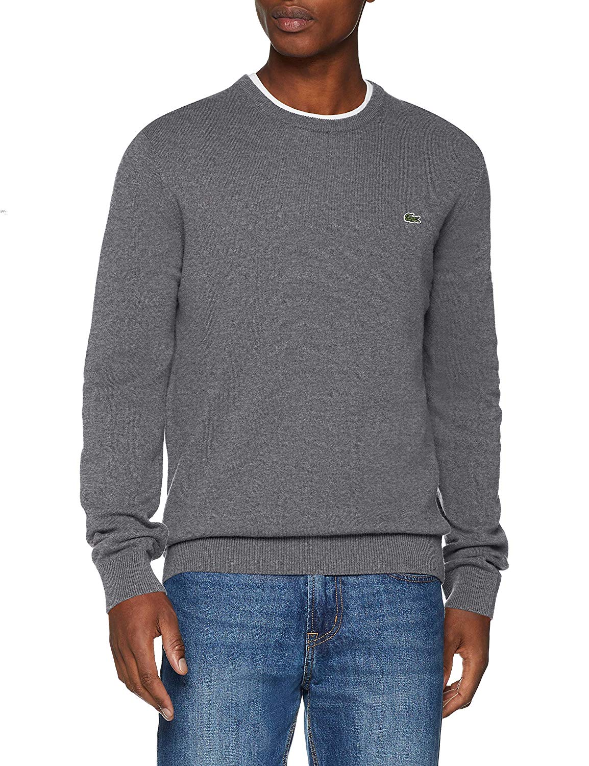 Lacoste Men's Jumper Lacoste Men's Jumper
