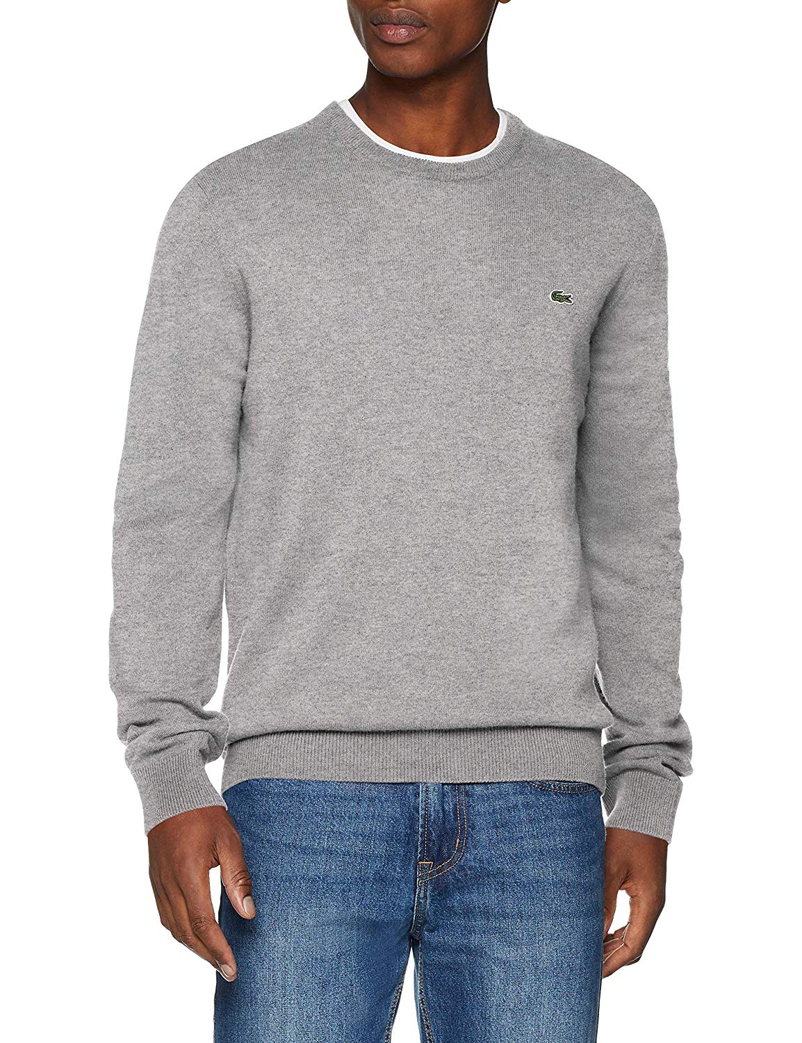 Lacoste Men's Jumper Lacoste Men's Jumper